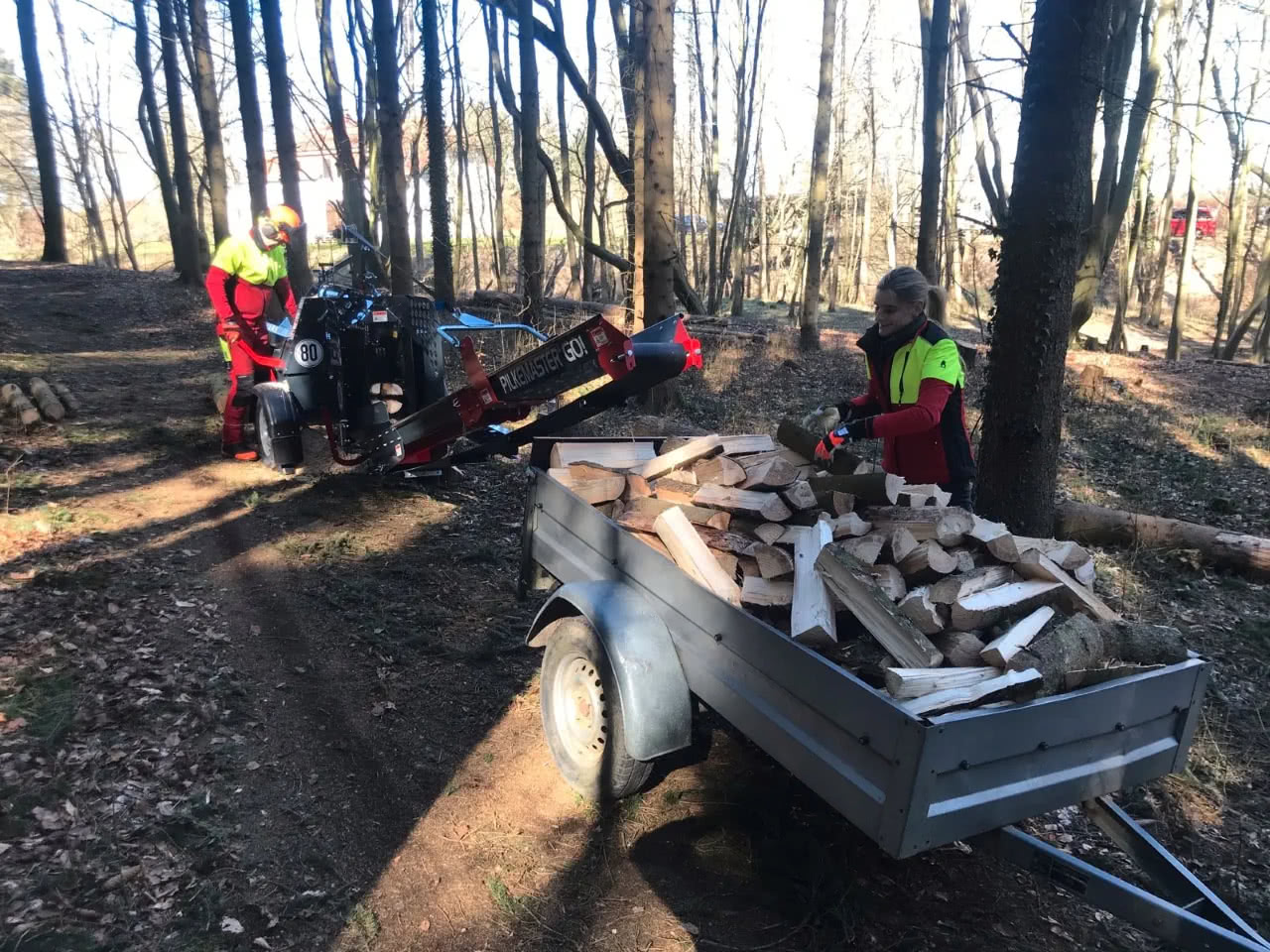 Bild Holzspalten 2